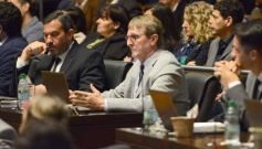 Foto de la galería: Diputados: salud y cultura sumaron leyes en la segunda sesión del año