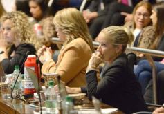 Foto de la galería: Diputados: salud y cultura sumaron leyes en la segunda sesión del año