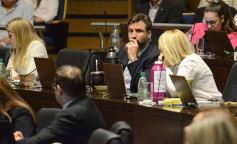 Foto de la galería: Diputados: salud y cultura sumaron leyes en la segunda sesión del año