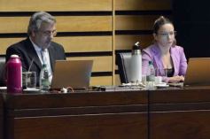 Foto de la galería: Diputados: salud y cultura sumaron leyes en la segunda sesión del año