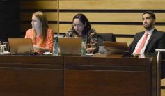 Foto de la galería: Diputados: salud y cultura sumaron leyes en la segunda sesión del año