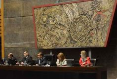 Foto de la galería: Diputados: salud y cultura sumaron leyes en la segunda sesión del año