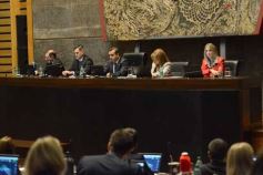 Foto de la galería: Diputados: salud y cultura sumaron leyes en la segunda sesión del año