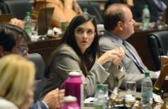 Foto de la galería: Diputados: salud y cultura sumaron leyes en la segunda sesión del año