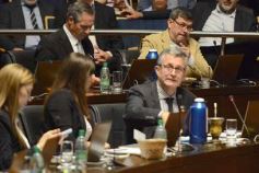 Foto de la galería: Diputados: salud y cultura sumaron leyes en la segunda sesión del año