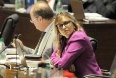 Foto de la galería: Legislatura: salud, discapacidad, ambiente y cambio climático en el marco de leyes aprobadas