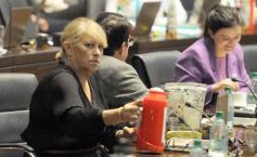 Foto de la galería: Por ley: la producción misionera sumará la Ruta del Azúcar Rubio Artesanal 