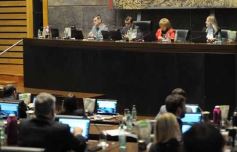 Foto de la galería: Por ley: la producción misionera sumará la Ruta del Azúcar Rubio Artesanal 