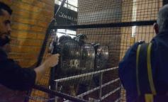 Foto de la galería: Por ley: la producción misionera sumará la Ruta del Azúcar Rubio Artesanal 