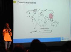 Foto de la galería: Expo Té Argentina: con el éxito de dos ediciones, Misiones volverá a ser sede en 2025