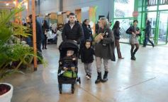 Foto de la galería: Expo Té Argentina: con el éxito de dos ediciones, Misiones volverá a ser sede en 2025