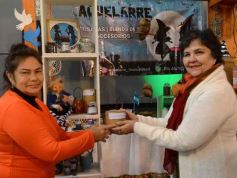 Foto de la galería: Expo Té Argentina: con el éxito de dos ediciones, Misiones volverá a ser sede en 2025