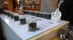 Foto de la galería: Expo Té Argentina: con el éxito de dos ediciones, Misiones volverá a ser sede en 2025
