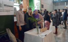 Foto de la galería: Expo Té Argentina: con el éxito de dos ediciones, Misiones volverá a ser sede en 2025