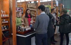 Foto de la galería: Expo Té Argentina: con el éxito de dos ediciones, Misiones volverá a ser sede en 2025