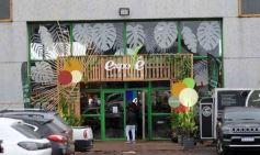 Foto de la galería: Expo Té Argentina: con el éxito de dos ediciones, Misiones volverá a ser sede en 2025