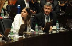 Foto de la galería: Junto a la convocatoria del 30M, la Legislatura cumplió una nueva sesión semanal