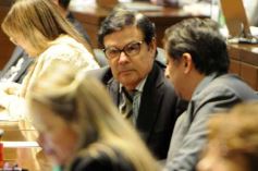 Foto de la galería: Junto a la convocatoria del 30M, la Legislatura cumplió una nueva sesión semanal