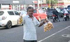 Foto de la galería: Trabajo y recorridas en la ciudad: mucha actividad en las primeras de junio