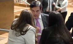 Foto de la galería: La Legislatura aprobó las leyes de Empleo Joven y de Deporte Adaptado para personas trasplantadas