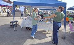 Foto de la galería: La Ecoferia Posadas dejó propuestas sustentables y de disfrute en la Costanera