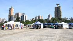 Foto de la galería: La Ecoferia Posadas dejó propuestas sustentables y de disfrute en la Costanera