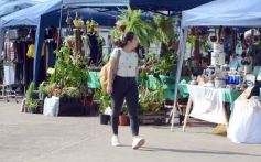 Foto de la galería: La Ecoferia Posadas dejó propuestas sustentables y de disfrute en la Costanera