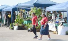 Foto de la galería: La Ecoferia Posadas dejó propuestas sustentables y de disfrute en la Costanera