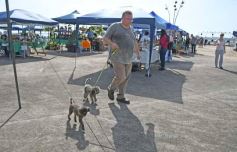Foto de la galería: La Ecoferia Posadas dejó propuestas sustentables y de disfrute en la Costanera