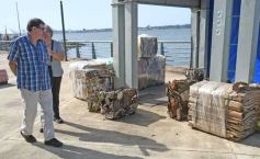 Foto de la galería: La Ecoferia Posadas dejó propuestas sustentables y de disfrute en la Costanera