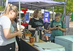 Foto de la galería: La Ecoferia Posadas dejó propuestas sustentables y de disfrute en la Costanera