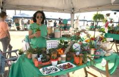 Foto de la galería: La Ecoferia Posadas dejó propuestas sustentables y de disfrute en la Costanera
