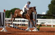 Foto de la galería: Federal de Saltos Hípicos: El Palenque convocó al encuentro en un finde de campo en Nemesio Parma 