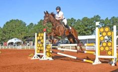 Foto de la galería: Federal de Saltos Hípicos: El Palenque convocó al encuentro en un finde de campo en Nemesio Parma 