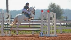 Foto de la galería: Federal de Saltos Hípicos: El Palenque convocó al encuentro en un finde de campo en Nemesio Parma 