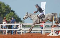 Foto de la galería: Federal de Saltos Hípicos: El Palenque convocó al encuentro en un finde de campo en Nemesio Parma 