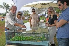 Foto de la galería: Federal de Saltos Hípicos: El Palenque convocó al encuentro en un finde de campo en Nemesio Parma 