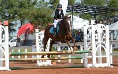 Foto de la galería: Federal de Saltos Hípicos: El Palenque convocó al encuentro en un finde de campo en Nemesio Parma 