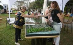 Foto de la galería: Federal de Saltos Hípicos: El Palenque convocó al encuentro en un finde de campo en Nemesio Parma 