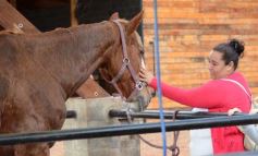 Foto de la galería: Federal de Saltos Hípicos: El Palenque convocó al encuentro en un finde de campo en Nemesio Parma 