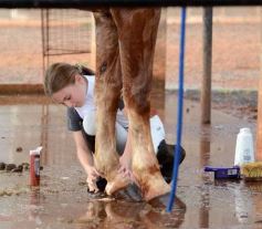 Foto de la galería: Federal de Saltos Hípicos: El Palenque convocó al encuentro en un finde de campo en Nemesio Parma 