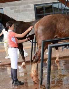Foto de la galería: Federal de Saltos Hípicos: El Palenque convocó al encuentro en un finde de campo en Nemesio Parma 