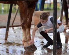 Foto de la galería: Federal de Saltos Hípicos: El Palenque convocó al encuentro en un finde de campo en Nemesio Parma 