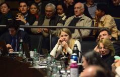 Foto de la galería: Legislatura: crearán el Instituto Provincial del Quemado en el Parque de la Salud