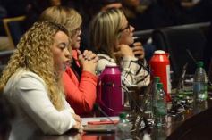 Foto de la galería: Legislatura: crearán el Instituto Provincial del Quemado en el Parque de la Salud