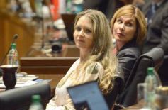 Foto de la galería: La Cámara creó el Programa de Enfernedades Cerebrovasculares en la pasada sesión legislativa