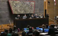 Foto de la galería: La Cámara creó el Programa de Enfernedades Cerebrovasculares en la pasada sesión legislativa