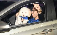 Foto de la galería: Campeones de América: la fiesta albiceleste también pasó por Posadas