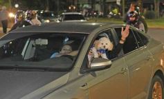 Foto de la galería: Campeones de América: la fiesta albiceleste también pasó por Posadas