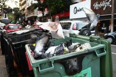 Foto de la galería: En las primeras del mes: temprano en el centro con mucha gente sumando buena onda al lunes de actividades